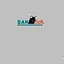 Saksoft's logo
